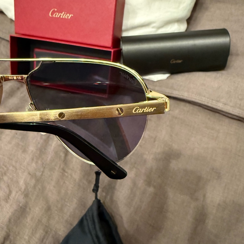 Cartier Santos Evolution 60MM Sunglasses - Picture 7 of 9